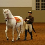 Work on the Long Rein, Chief Rider Andreas Hausberger