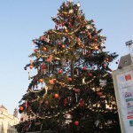 Old Town Square Christmas Tree by day