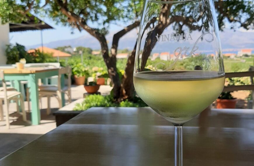 The Best Wineries Around Dubrovnik
